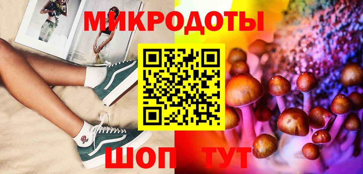 Санкт-Петербург  Галлюциногенные грибы Psilocybine cubensis  Вход с VPN 